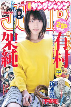 超级狂婿